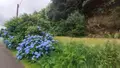 Maison a vendre Quistinic 56310 Morbihan 56 69 m2 4 pièces 166600 euros 065/1837 014