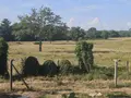 Viager maison Vaulry 87140 Haute-Vienne 87 107 m2 4 pièces 48800 euros MGC/1113 019