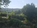 Viager maison Vaulry 87140 Haute-Vienne 87 107 m2 4 pièces 48800 euros MGC/1113 022