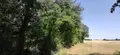 Bien agricole a vendre Genouilly 18310 Cher 18 4300 euros 142553G 003