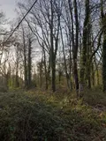 Terrain a batir a vendre La Gacilly 56200 Morbihan 56 1182 m2 44370 euros 009/1206 002