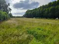 Terrain a batir a vendre La Gacilly 56200 Morbihan 56 1110 m2 81740 euros 009/1214 002