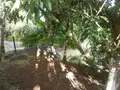 Maison a vendre Montagne 33570 Gironde 33 78 m2 4 pièces 199980 euros 97405/184 017