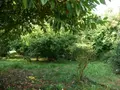 Maison a vendre Le Hinglé 22100 Côtes-d'Armor 22 77 m2 4 pièces 115940 euros 037/938 005