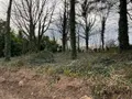 Maison a vendre Vengeons 50150 Manche 50 164 m2 8 pièces 194397 euros 12547/307 014