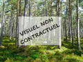 Terrains de loisirs bois etangs a vendre Villiers-Saint-Orien 28800 Eure-et-Loir 28 7000 euros RC/901 001