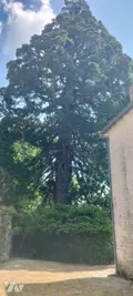 Maison a vendre Périgné 79170 Deux-Sèvres 79 338 m2 10 pièces 435700 euros MR1531 016