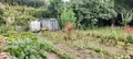 Immeuble de rapport a vendre Dampierre-sur-Boutonne 17470 Charente-Maritime 17 106 m2 147300 euros MR9819 002