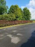 Terrain a batir a vendre Hannogne-Saint-Martin 08160 Ardennes 08 1814 m2 75000 euros 51083/VENT/959 002