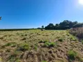 Terrain a batir a vendre Lannebert 22290 Côtes-d'Armor 22 1339 m2 69200 euros TEBA-275 002