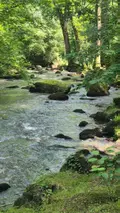 Terrains de loisirs bois etangs a vendre Gorron 53120 Mayenne 53 105280 euros 2881 003