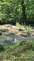 Terrains de loisirs bois etangs a vendre Gorron 53120 Mayenne 53 105280 euros 2881 002