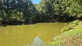 Terrains de loisirs bois etangs a vendre Gorron 53120 Mayenne 53 105280 euros 2881 001