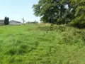 Terrain a batir a vendre Sainte-Barbe 88700 Vosges 88 2000 m2 40000 euros 2155 006