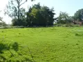 Terrain a batir a vendre Sainte-Barbe 88700 Vosges 88 2000 m2 40000 euros 2155 007