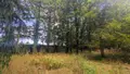 Maison a vendre Renac 35660 Ille-et-Vilaine 35 170 m2 7 pièces 287000 euros 2520 005