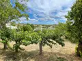 Maison a vendre Valensole 04210 Alpes-de-Haute-Provence 04 125 m2 4 pièces 314600 euros 025/1912 017