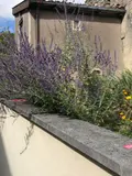 Maison a vendre Boviolles 55500 Meuse 55 192 m2 4 pièces 152000 euros 55008/63 017