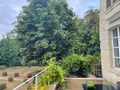 Maison a vendre Issoudun 36100 Indre 36 164 m2 5 pièces 363656 euros 11813/1465 017