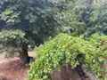 Maison a vendre Issoudun 36100 Indre 36 164 m2 5 pièces 363656 euros 11813/1465 016