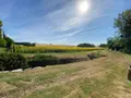 Maison a vendre Villegouin 36500 Indre 36 207 m2 6 pièces 340400 euros 1048866 053