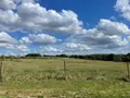 Terrain a batir a vendre Saulces-Monclin 08270 Ardennes 08 969 m2 32500 euros 08018-TEBA-2194 002