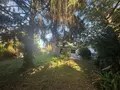 Maison a vendre Saint-Grégoire 35760 Ille-et-Vilaine 35 136 m2 5 pièces 786000 euros VR/42 004
