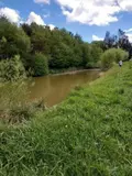 Terrains de loisirs bois etangs a vendre La Pellerine 53220 Mayenne 53 25000 euros 53077-1080800 003