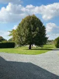 Maison a vendre Baugé-en-Anjou 49150 Maine-et-Loire 49 139 m2 7 pièces 287375 euros LB/2553 026