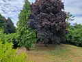 Maison a vendre Vern-sur-Seiche 35770 Ille-et-Vilaine 35 191 m2 5 pièces 489740 euros l800238794 009