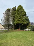Maison a vendre Langolen 29510 Finistère 29 110 m2 7 pièces 194400 euros MAIS/1033 006