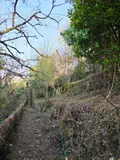 Maison a vendre Tulle 19000 Corrèze 19 250 m2 9 pièces 147560 euros 10803/119 009