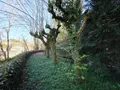 Maison a vendre Tulle 19000 Corrèze 19 250 m2 9 pièces 147560 euros 10803/119 010