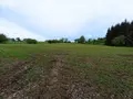 Bien agricole a vendre Valdallière 14410 Calvados 14 59200 euros 14085-3518 003