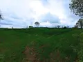 Bien agricole a vendre Valdallière 14410 Calvados 14 59200 euros 14085-3518 004