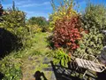 Maison a vendre Saint-Pol-de-Léon 29250 Finistère 29 114 m2 6 pièces 261500 euros 29104-MAIS1117 008