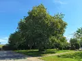 Maison a vendre Saint-Denis-de-Gastines 53500 Mayenne 53 53 m2 3 pièces 94500 euros 53077-8 007