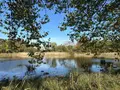 Terrains de loisirs bois etangs a vendre Neuillay-les-Bois 36500 Indre 36 25 m2 100700 euros 037/2637 003