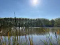 Terrains de loisirs bois etangs a vendre Neuillay-les-Bois 36500 Indre 36 25 m2 100700 euros 037/2637 005