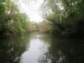 Terrains de loisirs bois etangs a vendre Troyes 10000 Aube 10 37310 euros 10377/920 001