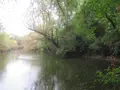 Terrains de loisirs bois etangs a vendre Troyes 10000 Aube 10 37310 euros 10377/920 002