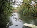 Terrains de loisirs bois etangs a vendre Troyes 10000 Aube 10 37310 euros 10377/920 004