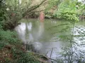 Terrains de loisirs bois etangs a vendre Troyes 10000 Aube 10 37310 euros 10377/920 006
