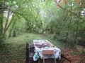 Terrains de loisirs bois etangs a vendre Troyes 10000 Aube 10 37310 euros 10377/920 007