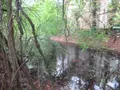 Terrains de loisirs bois etangs a vendre Troyes 10000 Aube 10 37310 euros 10377/920 008