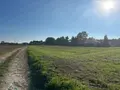 Terrain a batir a vendre Le Magny 36400 Indre 36 3000 m2 38000 euros 2459 002