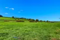 Terrain a batir a vendre Saint-Romain-sous-Gourdon 71230 Saône-et-Loire 71 2803 m2 28000 euros 063/1463 001