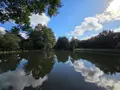 Terrains de loisirs bois etangs a vendre Vimartin-sur-Orthe 53160 Mayenne 53 18 m2 26500 euros 1373 001