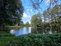 Terrains de loisirs bois etangs a vendre Vimartin-sur-Orthe 53160 Mayenne 53 18 m2 26500 euros 1373 005
