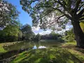 Terrains de loisirs bois etangs a vendre Vimartin-sur-Orthe 53160 Mayenne 53 18 m2 26500 euros 1373 007